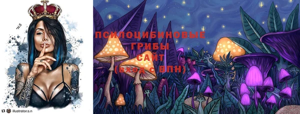 бошки Михайлов