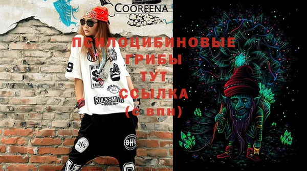 бошки Михайлов