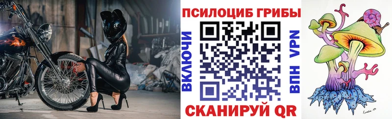 Галлюциногенные грибы Cubensis  нарко площадка Telegram  Яхрома 